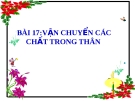 Bài giảng Sinh học 6 bài 17: Vận chuyển các chất trong thân