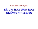 Bài giảng Sinh học 6 bài 27: Sinh sản sinh dưỡng do người