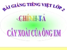 Slide bài Chính tả (Nghe viết): Cây xoài của ông em - Tiếng việt 2 - GV.Hoàng Quân