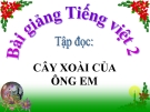 Bài Tập đọc: Cây xoài của ông em - Bài giảng điện tử Tiếng việt 2 - GV.Ng.T.Tú