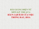 Bài giảng Kỹ thuật 4 bài 9: Lợi ích của việc trồng rau, hoa