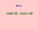 Bài 6: Trợ từ, thán từ - Bài giảng Ngữ văn 8