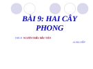 Slide bài Hai cây phong - Ngữ văn 8 - GV.Nguyễn N.Minh