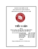 Tiểu luận Đầu tư quốc tế: Lợi ích và rủi ro của Mua lại và Sáp nhập (M&A). Liên hệ với hoạt động M&A tại Việt Nam