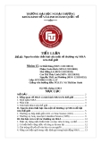 Tiểu luận Đầu tư quốc tế: Nguyên nhân thất bại của một số thương vụ M&A trên thế giới