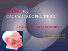 Bài giảng Giải phẫu: Miệng và các cấu trúc phụ thuộc (Răng-lưỡi-tuyến nước bọt) - Ths.Bs.Nguyễn Ngọc Ánh