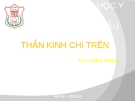 Bài giảng Giải phẫu: Thần kinh chi trên - Bs. Lê Mạnh Thường