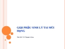 Bài giảng về Giải phẫu sinh lý tai mũi họng - Ths.Bs. Võ Thành Liêm