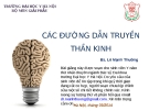 Bài giảng Giải phẫu: Các đường dẫn truyền thần kinh - Bs. Lê Mạnh Thường