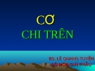 Bài giảng Giải phẫu: Cơ chi trên - Bs. Lê Quang Tuyền