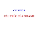 Bài giảng Hoá học và hoá lý polyme: Chương 8