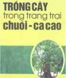 Kỹ thuật trồng cây trong trang trại chuối ca cao: Phần 2