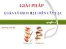 Bài giảng Giải pháp quản lý dịch hại trên cây Lạc - ThS. Phan Anh Thế