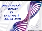 Bài giảng Ứng dung của protein và công nghệ amino acid