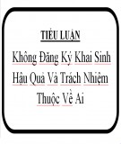 Tiểu luận tình huống quản lý nhà nước: Không đăng ký khai sinh hậu quả và trách nhiệm thuộc về ai