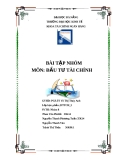 Bài tập nhóm môn Đầu tư tài chính