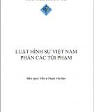 Giáo trình Luật Hình sự Việt Nam: Phần 2 - TS. Phạm Văn Beo