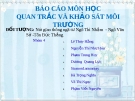 Báo cáo môn học Quan trắc và khảo sát môi trường: Nút giao thông ngã tư Ngô Thì Nhậm - Ngô Văn Sở - Tôn Đức Thắng