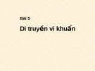 Bài giảng Di truyền vi khuẩn