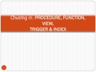 Bài giảng Chương III: Procedure, Function, View, Trigger & Index