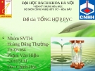 Đề tài: Tổng hợp PVC