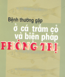 Biện pháp phòng trị bệnh thường gặp ở cá trắm cỏ: Phần 2