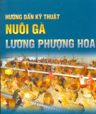 Kinh nghiệm nuôi gà Lương Phượng Hoa: Phần 1