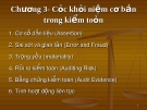 Bài giảng Lý thuyết kiểm toán: Chương 3 Các khái niệm cơ bản trong kiểm toán