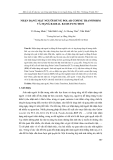 Báo cáo khoa học: Nhận dạng mặt người dùng Polar cosine transform và mạng Radial basis function