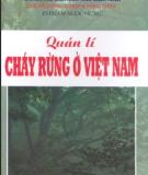 Cháy rừng ở Việt Nam và việc quản lý rừng