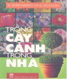 Kỹ thuật trồng cây cảnh trong nhà: Phần 1