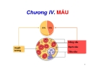 Bài giảng Sinh học động vật - Chương 5.1: Máu