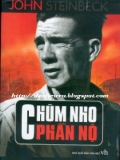 Truyện ngắn Chùm nho phẫn nộ