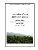 Giáo trình Trồng cây Xạ đen - MĐ02: Trồng xạ đen, giảo cổ lam, diệp hạ châu