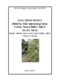 Giáo trình Phòng trừ dịch hại mai vàng, mai chiếu thủy - MĐ05: Trồng mai vàng, mai chiếu thủy