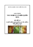 Giáo trình Thu hoạch và bảo quản hoa - MĐ05: Trồng hoa huệ, lay ơn, đồng tiền, hồng môn