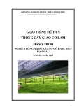 Giáo trình Trồng cây giảo cổ lam - MĐ03: Trồng xạ đen, giảo cổ lam, diệp hạ châu