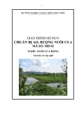 Giáo trình Chuẩn bị ao, ruộng nuôi cua - MĐ02: Nuôi cua đồng