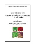 Giáo trình Chuẩn bị giống cây làm gia vị để trồng - MĐ01: Trồng cây làm gia vị