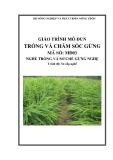 Giáo trình Trồng và chăm sóc gừng - MĐ03: Trồng và sơ chế gừng nghệ