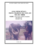 Giáo trình Phòng trị bệnh cho trâu bò - MĐ08: Chăn nuôi và phòng trị bệnh cho trâu bò