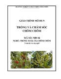 Giáo trình Trồng và chăm sóc chôm chôm - MĐ04: Trồng xoài, ổi, chôm chôm