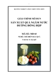 Giáo trình Sản xuất quả ngâm nước đường đống hộp - MĐ03: Chế biến rau quả