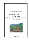 Giáo trình Chăm sóc khoai tây - MĐ04: Nhân giống và trồng khoai tây