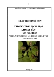 Giáo trình Phòng trừ dịch hại khoai tây - MĐ05: Nhân giống và trồng khoai tây