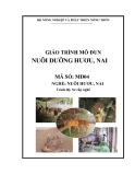 Giáo trình Nuôi dưỡng hươu, nai - MĐ04: Nuôi hươu, nai