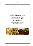 Giáo trình Sơ chế rau quả - MĐ01: Chế biến rau quả