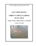 Giáo trình Chọn và thả cá giống - MĐ03: Nuôi cá diêu hồng, cá rô phi