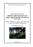 Giáo trình Trồng một số loài cây thực phẩm dưới tán rừng - MĐ02: Trồng và khai thác một số loài cây dưới tán rừng