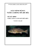 Giáo trình Nuôi cá hồng mỹ (đù đỏ) - MĐ03: Nuôi cá lồng bè trên biển